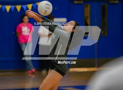 Thumbnail 3 in Pitman @ Turlock photogallery.