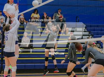 Thumbnail 2 in Pitman @ Turlock photogallery.