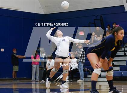Thumbnail 3 in Pitman @ Turlock photogallery.