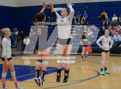 Thumbnail 3 in Pitman @ Turlock photogallery.