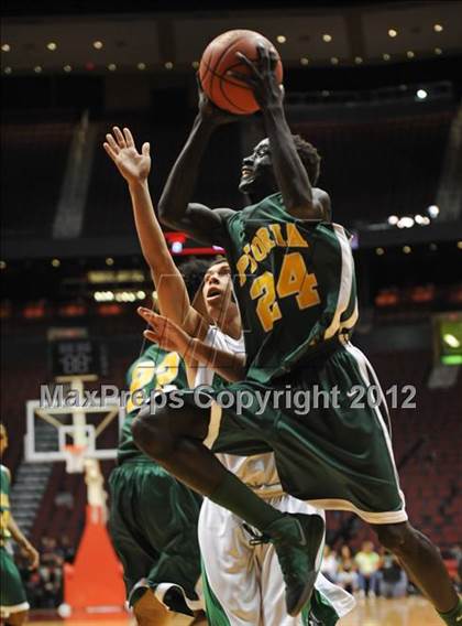 Thumbnail 3 in Peoria vs. Amphitheater (AIA D2 Final) photogallery.