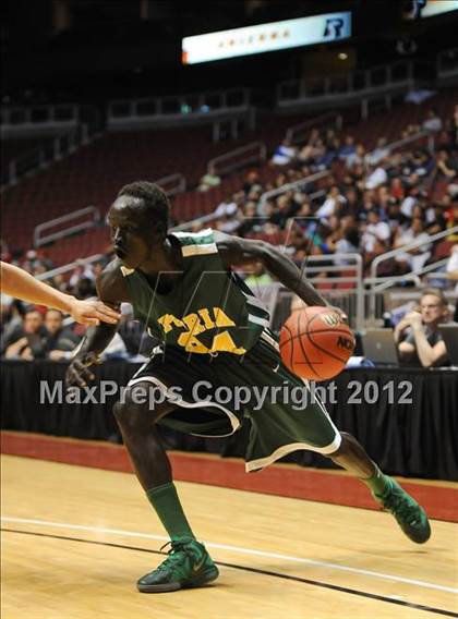Thumbnail 2 in Peoria vs. Amphitheater (AIA D2 Final) photogallery.