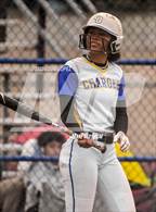 Photo from the gallery "Northview @ Charter Oak"