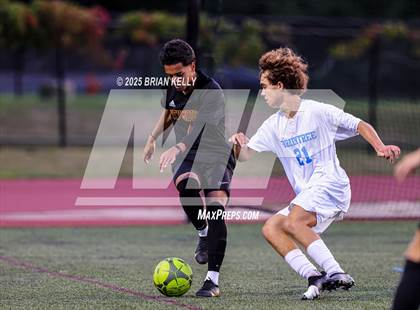 Thumbnail 1 in Braintree @ Weymouth photogallery.