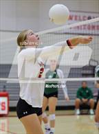 Photo from the gallery "Pine Crest @ Saint Andrew's"