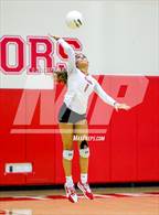 Photo from the gallery "Pine Crest @ Saint Andrew's"