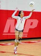 Photo from the gallery "Pine Crest @ Saint Andrew's"