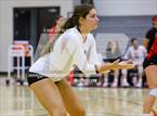 Photo from the gallery "Pine Crest @ Saint Andrew's"