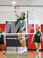 Photo from the gallery "Pine Crest @ Saint Andrew's"