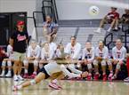 Photo from the gallery "Pine Crest @ Saint Andrew's"