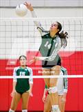 Photo from the gallery "Pine Crest @ Saint Andrew's"