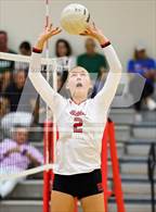Photo from the gallery "Pine Crest @ Saint Andrew's"