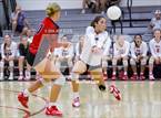 Photo from the gallery "Pine Crest @ Saint Andrew's"