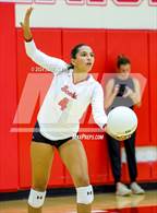 Photo from the gallery "Pine Crest @ Saint Andrew's"