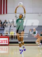 Photo from the gallery "Pine Crest @ Saint Andrew's"