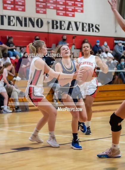 Thumbnail 1 in Tenino vs Seton Catholic (WIAA 1A District Playoff) photogallery.