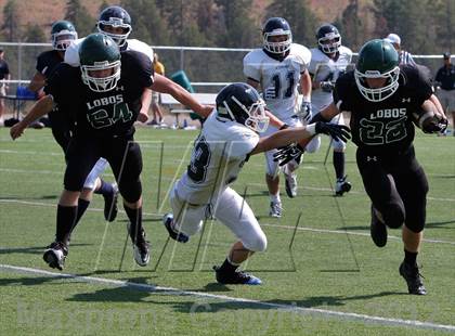 Thumbnail 1 in Evergreen @ Conifer photogallery.