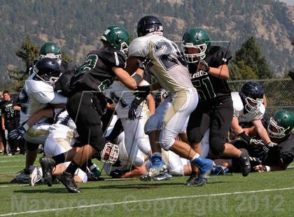Thumbnail 1 in Evergreen @ Conifer photogallery.