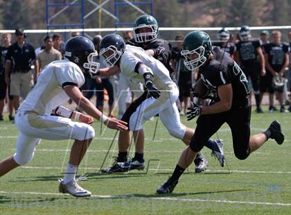 Thumbnail 1 in Evergreen @ Conifer photogallery.