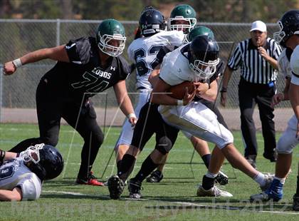 Thumbnail 2 in Evergreen @ Conifer photogallery.