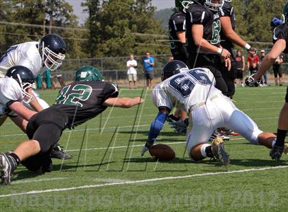 Thumbnail 3 in Evergreen @ Conifer photogallery.