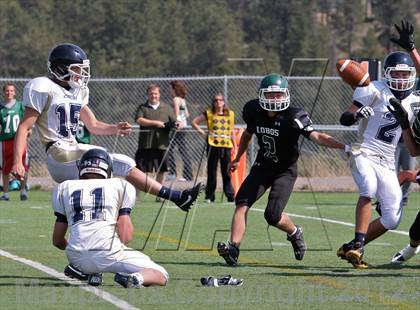 Thumbnail 3 in Evergreen @ Conifer photogallery.