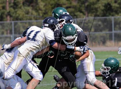 Thumbnail 1 in Evergreen @ Conifer photogallery.
