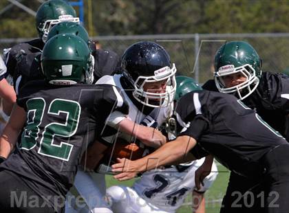 Thumbnail 1 in Evergreen @ Conifer photogallery.