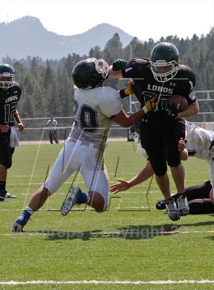 Thumbnail 3 in Evergreen @ Conifer photogallery.