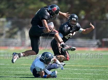 Thumbnail 1 in Carlmont @ Aragon photogallery.