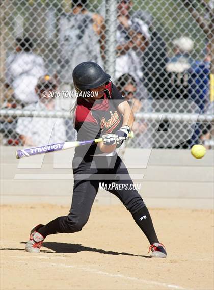 Thumbnail 1 in Ponderosa vs Evergreen (CHSAA 4A Region 6 Playoffs) photogallery.