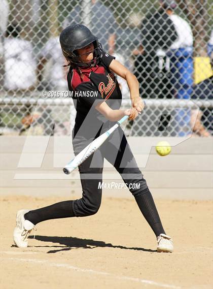 Thumbnail 1 in Ponderosa vs Evergreen (CHSAA 4A Region 6 Playoffs) photogallery.