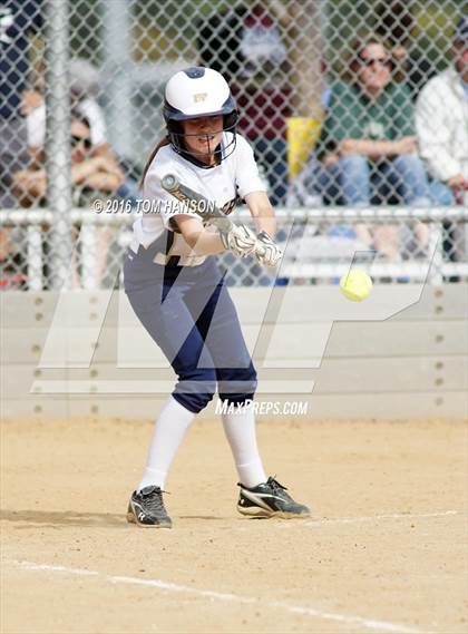 Thumbnail 1 in Ponderosa vs Evergreen (CHSAA 4A Region 6 Playoffs) photogallery.
