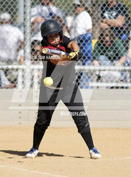 Thumbnail 3 in Ponderosa vs Evergreen (CHSAA 4A Region 6 Playoffs) photogallery.