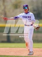 Photo from the gallery "Windsor @ Holy Family"