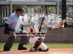 Photo from the gallery "Windsor @ Holy Family"