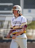 Photo from the gallery "Windsor @ Holy Family"
