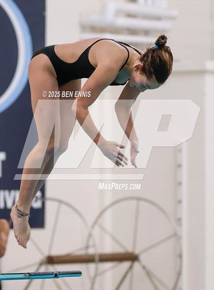 Thumbnail 3 in Lovett's Invitational (Diving) photogallery.