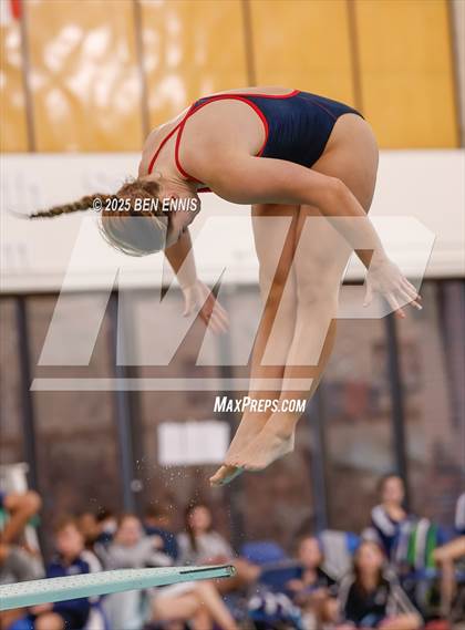 Thumbnail 2 in Lovett's Invitational (Diving) photogallery.