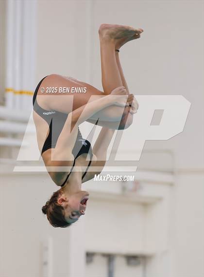 Thumbnail 1 in Lovett's Invitational (Diving) photogallery.