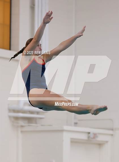 Thumbnail 2 in Lovett's Invitational (Diving) photogallery.