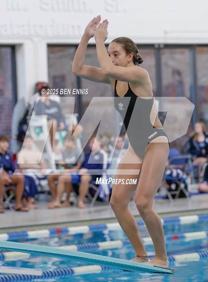 Thumbnail 1 in Lovett's Invitational (Diving) photogallery.