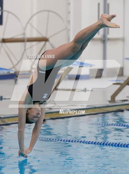 Thumbnail 2 in Lovett's Invitational (Diving) photogallery.