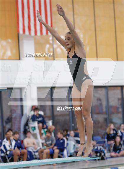Thumbnail 2 in Lovett's Invitational (Diving) photogallery.