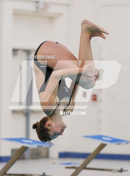 Thumbnail 2 in Lovett's Invitational (Diving) photogallery.