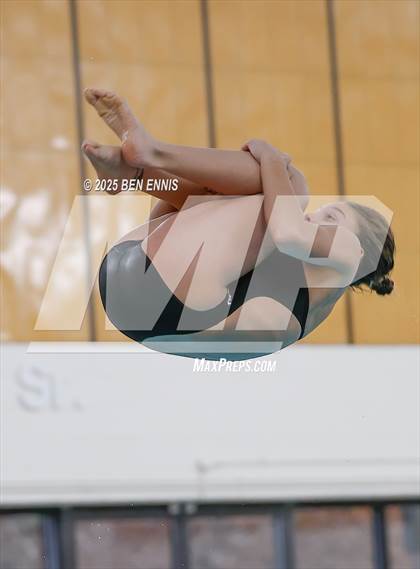 Thumbnail 2 in Lovett's Invitational (Diving) photogallery.