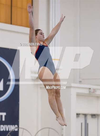 Thumbnail 1 in Lovett's Invitational (Diving) photogallery.