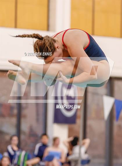 Thumbnail 1 in Lovett's Invitational (Diving) photogallery.