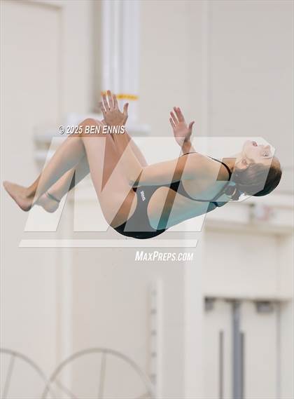 Thumbnail 2 in Lovett's Invitational (Diving) photogallery.