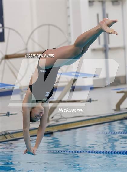 Thumbnail 1 in Lovett's Invitational (Diving) photogallery.
